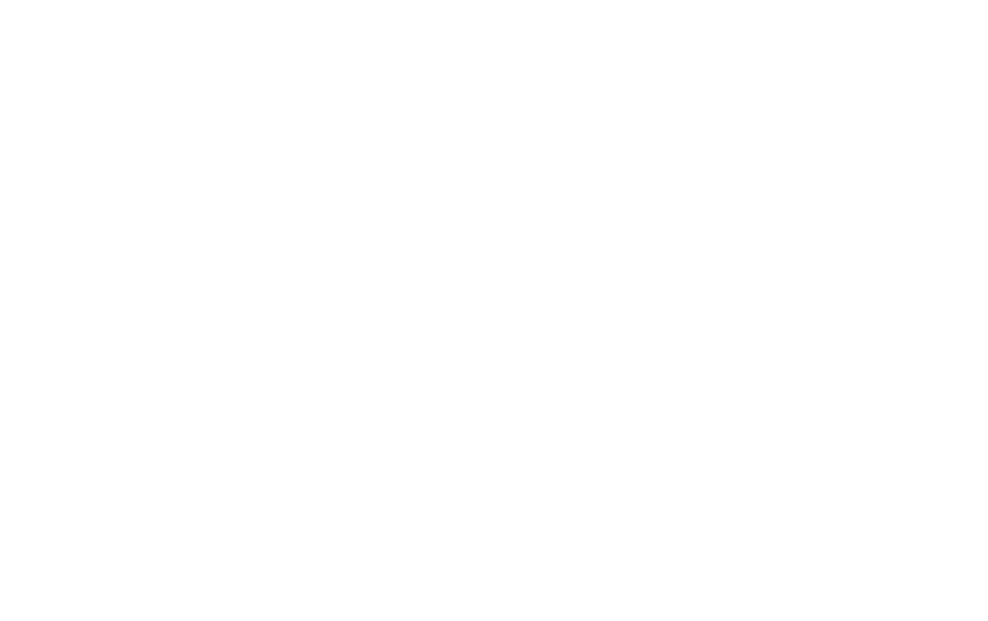 LA DIGITALISATION au service de l'inclusion financi re 