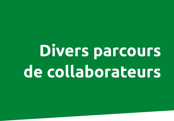 Divers parcours de collaborateurs