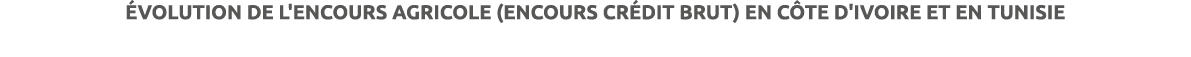  VOLUTION DE L'ENCOURS AGRICOLE (ENCOURS CR DIT BRUT) EN C TE D'IVOIRE ET EN TUNISIE 