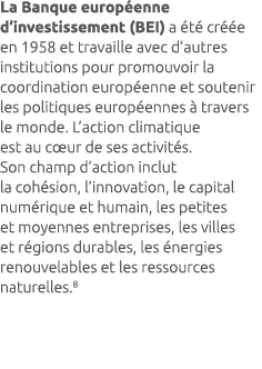 La Banque europ enne d’investissement (BEI) a t  cr  e en 1958 et travaille avec d’autres institutions pour promouvo...