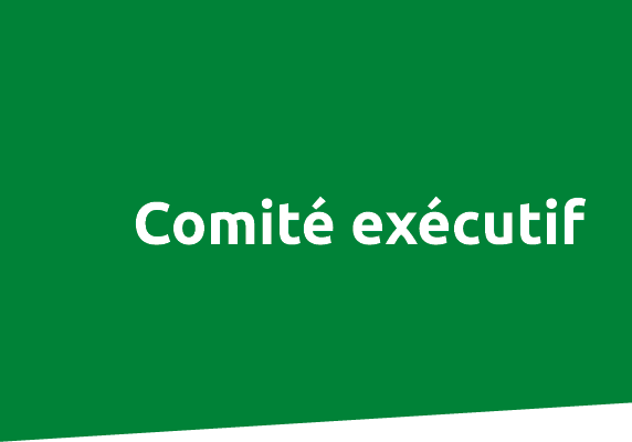 Comit ex cutif